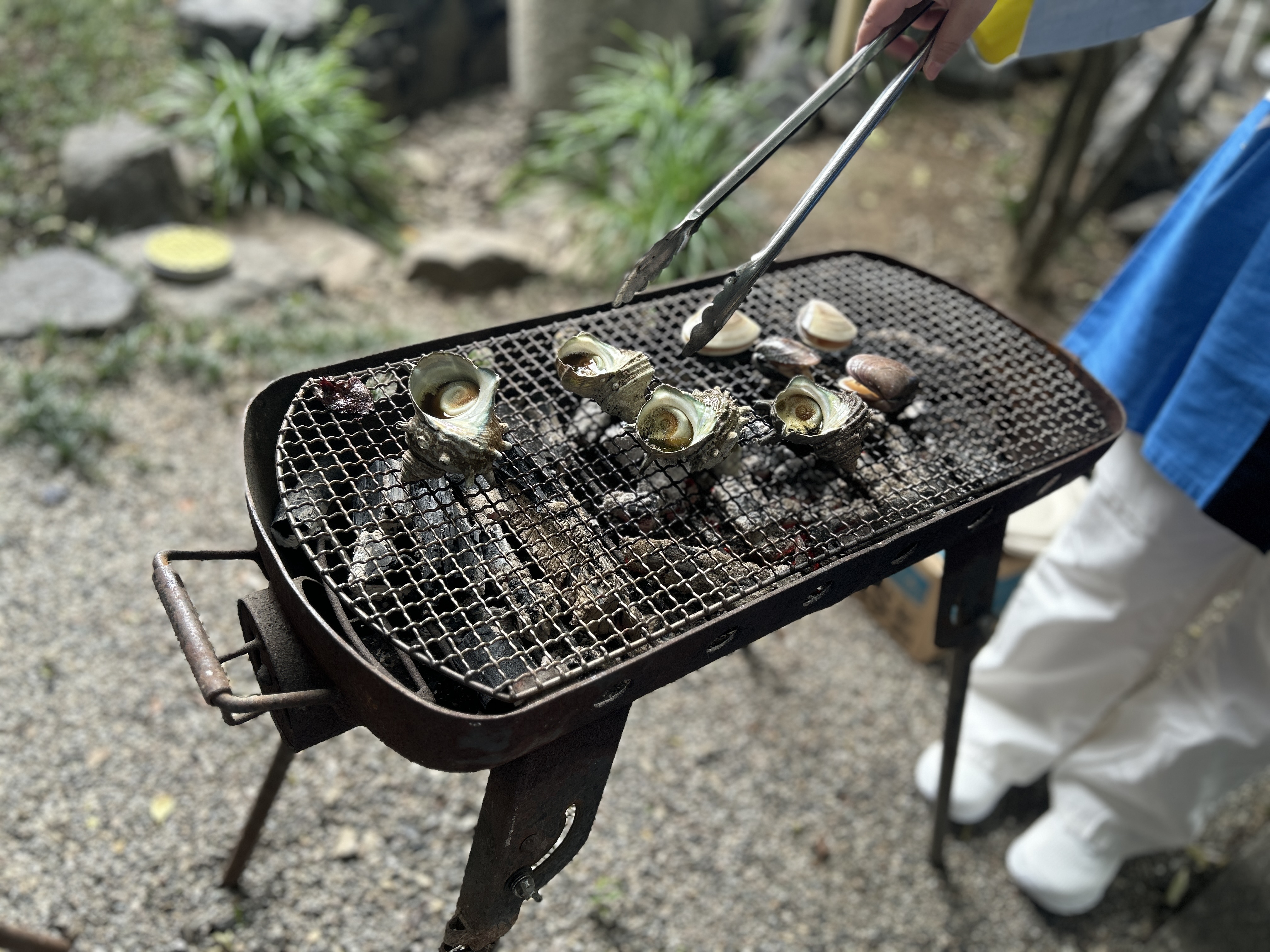 写真5